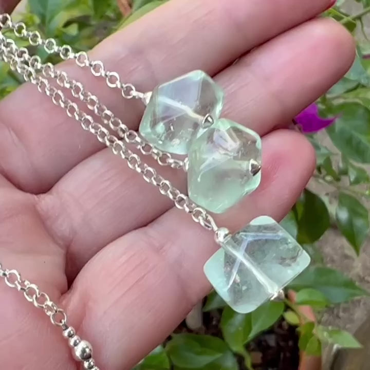 Vídeo con detalles del collar